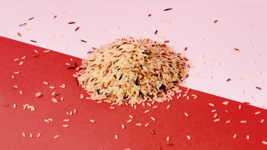 Uma nova base chegou às saladas do Vitaminas!
